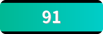 91